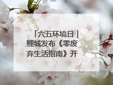 六五环境日｜鲤城发布《零废弃生活指南》开启露营新玩法