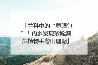 兰科中的“显眼包”！内乡发现珍稀濒危植物毛萼山珊瑚