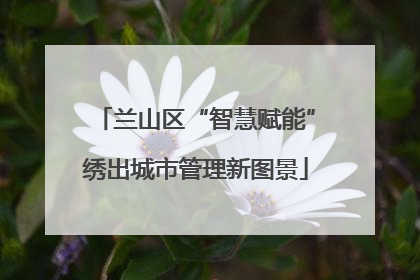兰山区“智慧赋能”绣出城市管理新图景