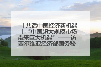 共话中国经济新机遇丨“中国超大规模市场带来巨大机遇”——访塞尔维亚经济部国务秘书尼科利奇