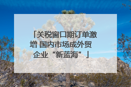 关税窗口期订单激增 国内市场成外贸企业“新蓝海”