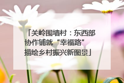 关岭围墙村：东西部协作铺就“幸福路” 描绘乡村振兴新图景