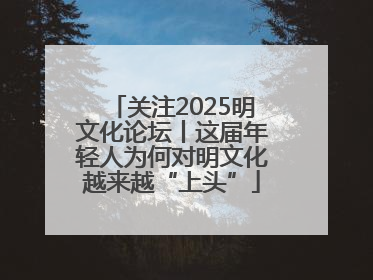 关注2025明文化论坛丨这届年轻人为何对明文化越来越“上头”
