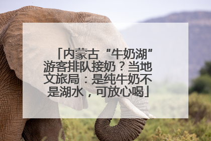 内蒙古“牛奶湖”游客排队接奶？当地文旅局：是纯牛奶不是湖水，可放心喝