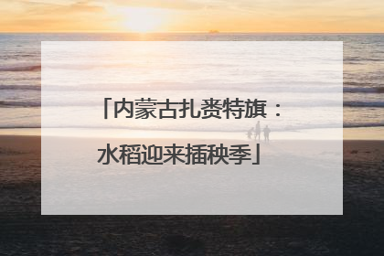 内蒙古扎赉特旗：水稻迎来插秧季