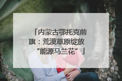 内蒙古鄂托克前旗：荒漠草原绽放“能源马兰花”