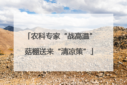 农科专家“战高温” 菇棚送来“清凉策”