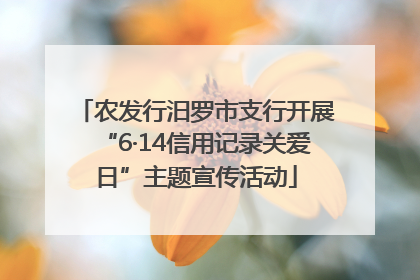 农发行汨罗市支行开展“6·14信用记录关爱日”主题宣传活动