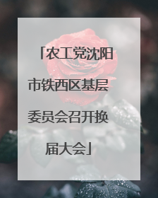 农工党沈阳市铁西区基层委员会召开换届大会