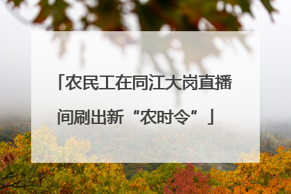 农民工在同江大岗直播间刷出新“农时令”