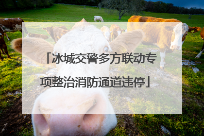 冰城交警多方联动专项整治消防通道违停