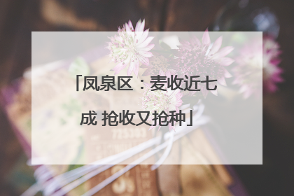 凤泉区：麦收近七成 抢收又抢种