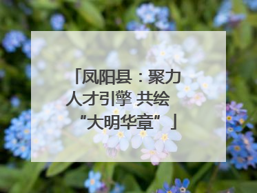 凤阳县：聚力人才引擎 共绘“大明华章”