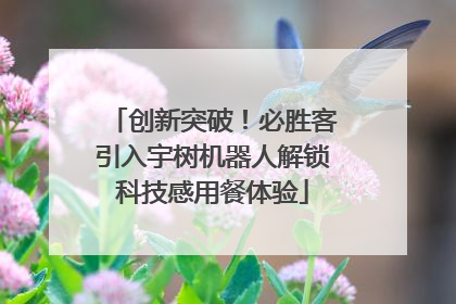 创新突破！必胜客引入宇树机器人解锁科技感用餐体验