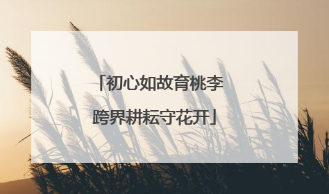 初心如故育桃李 跨界耕耘守花开