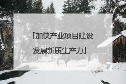 加快产业项目建设 发展新质生产力