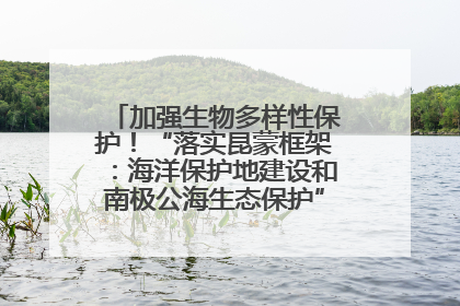 加强生物多样性保护！“落实昆蒙框架：海洋保护地建设和南极公海生态保护”主题论坛将举办
