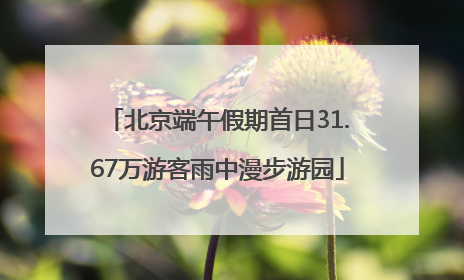 北京端午假期首日31.67万游客雨中漫步游园