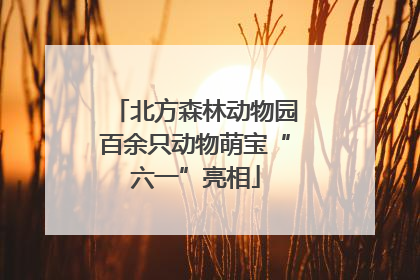 北方森林动物园百余只动物萌宝“六一”亮相