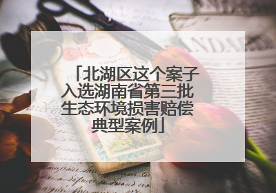 北湖区这个案子入选湖南省第三批生态环境损害赔偿典型案例