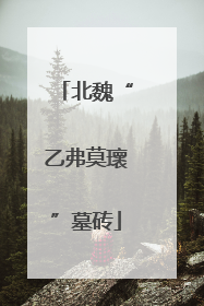 北魏“乙弗莫瓌”墓砖