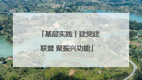 基层实践丨建党建联盟 聚振兴功能