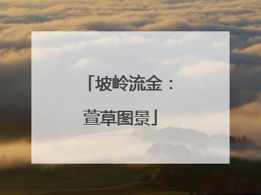 坡岭流金：萱草图景