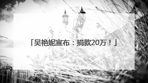 吴艳妮宣布：捐款20万！