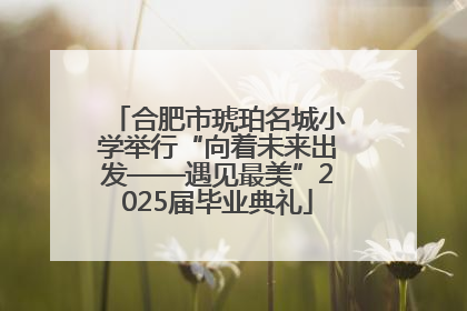 合肥市琥珀名城小学举行“向着未来出发——遇见最美”2025届毕业典礼