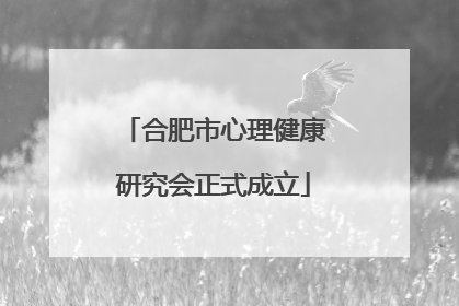 合肥市心理健康研究会正式成立