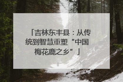 吉林东丰县：从传统到智慧重塑“中国梅花鹿之乡”