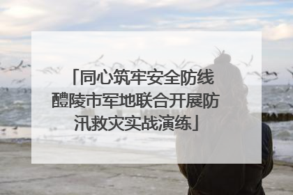 同心筑牢安全防线 醴陵市军地联合开展防汛救灾实战演练
