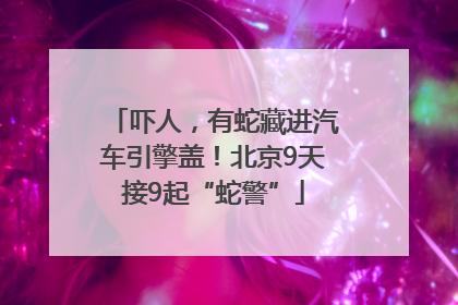 吓人，有蛇藏进汽车引擎盖！北京9天接9起“蛇警”