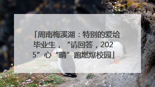 周南梅溪湖：特别的爱给毕业生，“请回答，2025”心“晴”跑燃爆校园