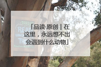品读·原创｜在这里，永远想不出会遇到什么动物