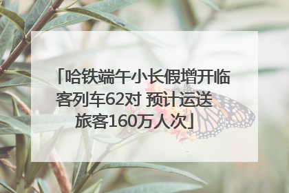 哈铁端午小长假增开临客列车62对 预计运送旅客160万人次