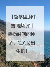 哲学里的中国·现场评丨播撒时间的种子，荒芜长出生机