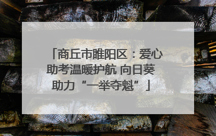 商丘市睢阳区：爱心助考温暖护航 向日葵助力“一举夺魁”