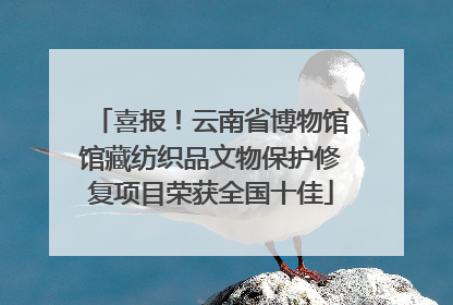 喜报！云南省博物馆馆藏纺织品文物保护修复项目荣获全国十佳
