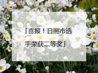 喜报！日照市选手荣获二等奖