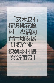嘉禾县石桥镇桃花源村：盘活闲置用地发展针织产业 织就乡村振兴新图景