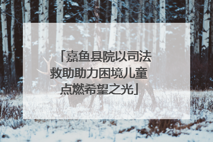 嘉鱼县院以司法救助助力困境儿童点燃希望之光