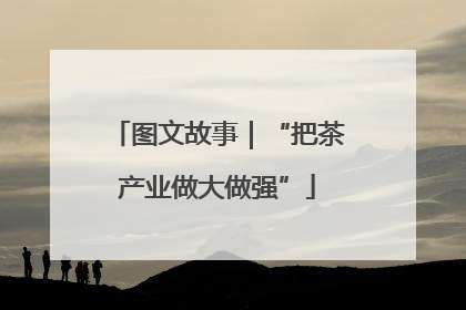 图文故事｜“把茶产业做大做强”