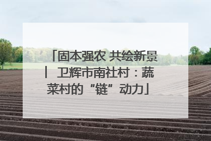 固本强农 共绘新景 ︳卫辉市南社村：蔬菜村的“链”动力