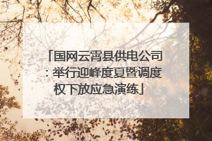 国网云霄县供电公司：举行迎峰度夏暨调度权下放应急演练