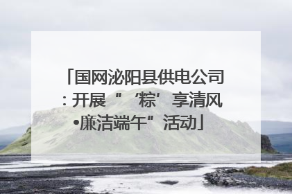 国网泌阳县供电公司：开展“‘粽’享清风 •廉洁端午”活动
