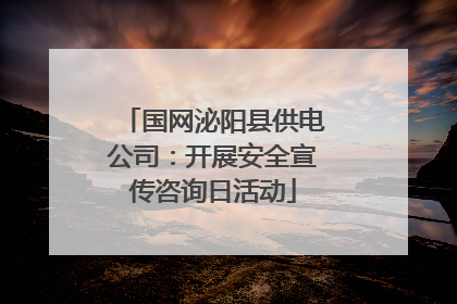 国网泌阳县供电公司：开展安全宣传咨询日活动