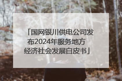 国网银川供电公司发布2024年服务地方经济社会发展白皮书