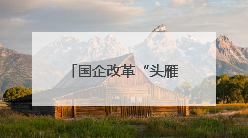 国企改革“头雁领航”③｜从负重前行到轻装上阵 重庆以“瘦身”谋“健体”