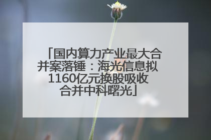 国内算力产业最大合并案落锤：海光信息拟1160亿元换股吸收合并中科曙光